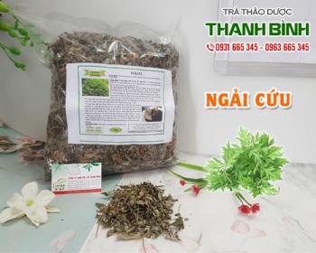 Mua bán ngải cứu tại huyện đông anh dùng để chế biến một số món ăn