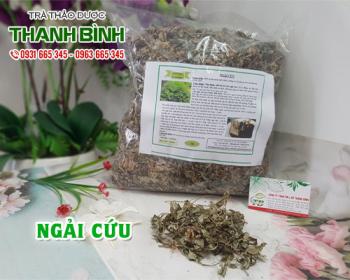 Mua bán ngải cứu tại huyện hoài đức trị cơ thể suy nhược thiếu sức sống
