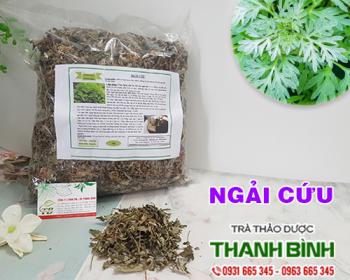 Mua bán ngải cứu tại an giang giúp cải thiện hệ tiêu hóa hiệu quả nhất