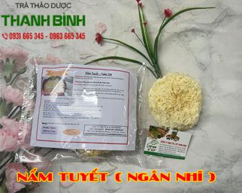 Ngân nhĩ (nấm tuyết) vừa bổ dưỡng vừa đẹp da