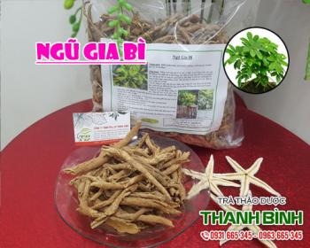Mua bán ngũ gia bì tại huyện quốc oai trị đau dây thần kinh vai cổ