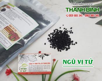địa chỉ bán ngũ vị tử trong điều trị bệnh yếu sinh lý tại hà nội uy tín nhất