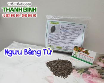 Mua bán ngưu bàng tử tại quận 4 hỗ trợ điều trị sốt và cảm mạo hiệu quả