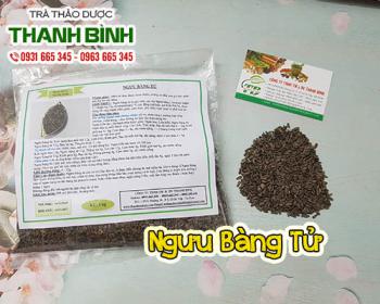 Mua bán ngưu bàng tử tại tphcm uy tín chất lượng tốt nhất