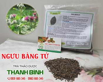 Mua bán ngưu bàng tử tại quận ba đình giúp thanh nhiệt giải độc rất tốt