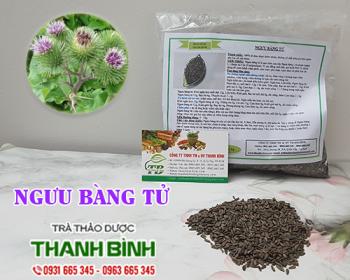 Mua bán ngưu bàng tử tại ninh bình có tác dụng điều trị phù thận cấp