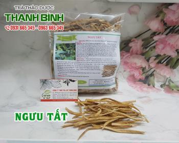 Mua bán ngưu tất tại huyện đan phượng giúp điều hòa huyết áp tốt nhất