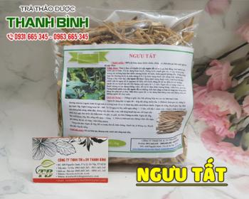 Mua ngưu tất ở đâu tại tphcm ???