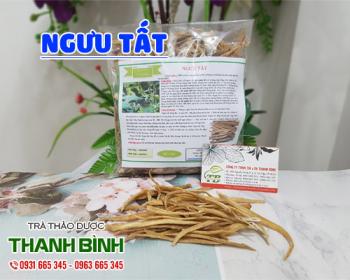 địa chỉ bán ngưu tất tăng cường lưu thông khí huyết uy tín chất lượng nhất