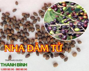 địa chỉ bán nha đảm tử chữa các bệnh tiêu chảy uy tín chất lượng nhất