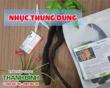 Mua bán nhục thung dung tại huyện ứng hòa giúp hạ huyết áp hiệu quả nhất