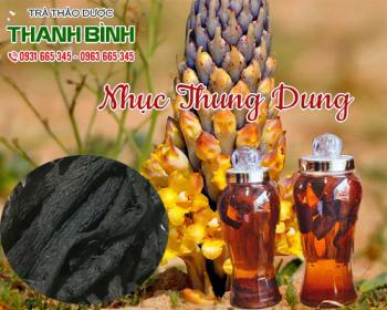 Mua bán nhục thung dung tại quận 8 giúp cải thiện chứng liệt dương 