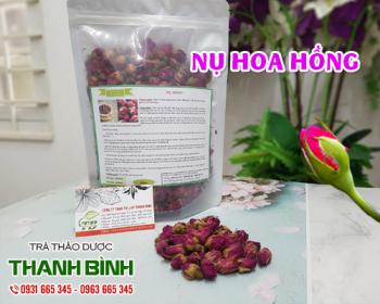 địa chỉ bán nụ hoa hồng điều trị ho và đau bụng kinh tại hà nội uy tín nhất