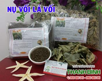 Mua bán nụ vối lá vối ở quận tân phú dùng để làm dịu cơn đau họng 