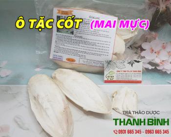 Mua bán ô tặc cốt ở quận bình tân rất tốt để trị viêm loét tá tràng
