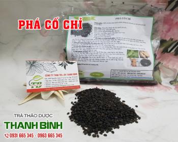Mua phá cố chỉ giá rẻ uy tín chất lượng nhất ở đâu?