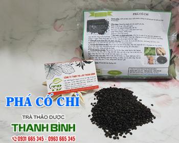 Mua bán phá cố chỉ tại khánh hòa có tác dụng mạnh gân cốt hiệu quả nhất