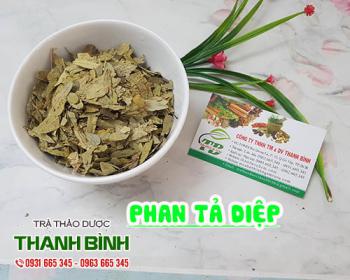 Mua bán phan tả diệp tại huyện ba vì có tác dụng điều trị đầy trướng bụng