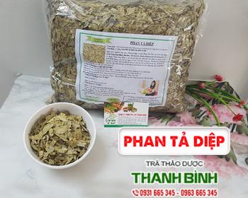 Mua bán phan tả diệp tại cao bằng giúp chống béo phì hiệu quả nhất