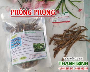 Mua bán phòng phong ở quận phú nhuận giúp thanh nhiệt giải độc