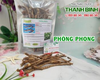 Mua bán phòng phong tại huyện đông anh dùng để giải độc ô đầu phụ tử