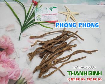 Mua bán phòng phong ở đâu tại hà nội uy tín chất lượng nhất ?