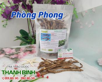 Mua bán phòng phong ở quận thủ đức có tác dụng điều hòa nhiệt độ