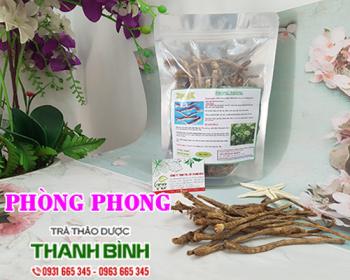 Mua bán phòng phong tại lai châu có tác dụng giảm tình trạng mụn nhọt