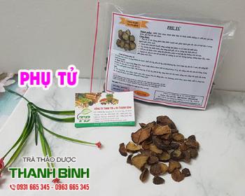 Mua phụ tử ở đâu tại tphcm?