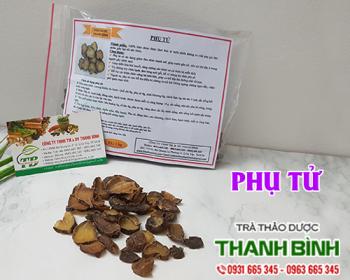 Mua bán phụ tử tại kom tom có tác dụng giảm đau nhức xương khớp do lạnh