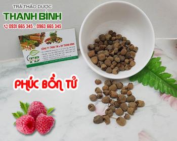 Công dụng của phúc bồn tử trong việc tăng cường và bồi bổ hiệu quả nhất