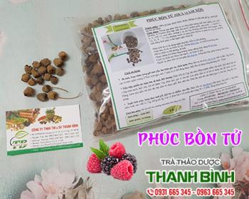 Mua bán phúc bồn tử tại hải phòng có công dụng ngừa táo bón rất tốt
