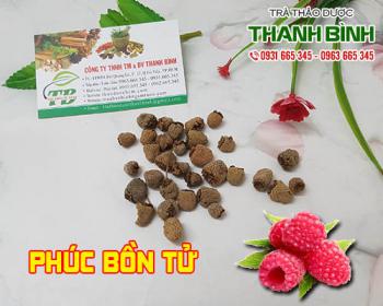 Mua bán phúc bồn tử tại tphcm uy tín chất lượng tốt nhất