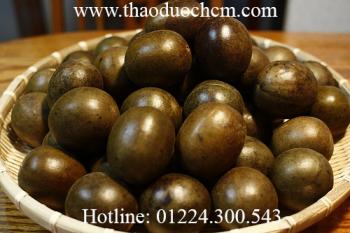 Mua bán quả la hán tại tp hcm giúp thanh nhiệt cơ thể tốt nhất