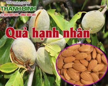 Mua bán quả hạnh nhân ở quận gò vấp hỗ trợ chức năng não khỏe mạnh