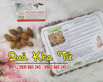 Quả kha tử trị ho viêm họng khan tiếng lành tính và hiệu quả