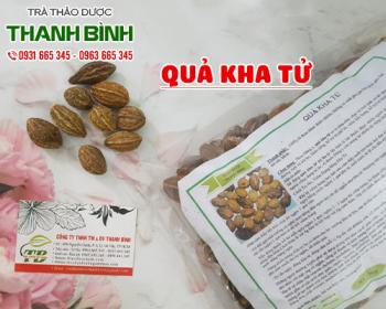 Mua bán quả kha tử tại huyện thường tín giúp chữa tiêu chảy khởi phát
