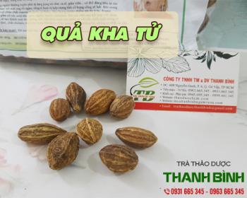 địa chỉ bán quả kha tử trong chữa bệnh phong hàn chất lượng nhất