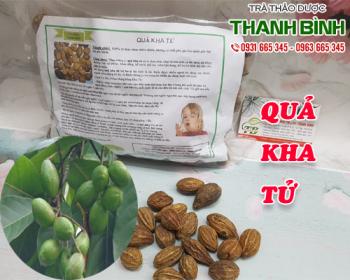 Mua bán quả kha tử tại quận 7 có khả năng điều trị cảm mạo