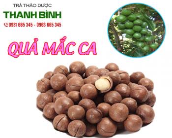 địa điểm bán quả mắc ca giúp hạ men gan uy tín chất lượng nhất