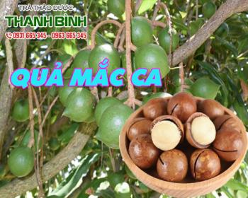 Mua bán quả mắc ca tại quận 12 có khả năng giảm thiểu táo bón