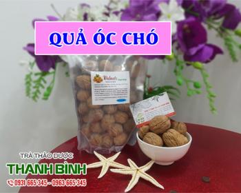 Mua bán quả óc chó tại huyện thường tín cải thiện chức năng não bộ