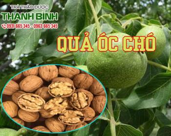 Mua bán quả óc chó tại quận 7 có tác dụng giúp giảm căng thẳng lo âu