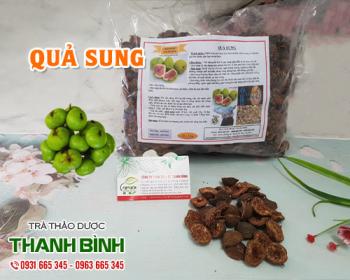Mua bán quả sung tại huyện sóc sơn có tác dụng hỗ trợ bài tiết sỏi thận
