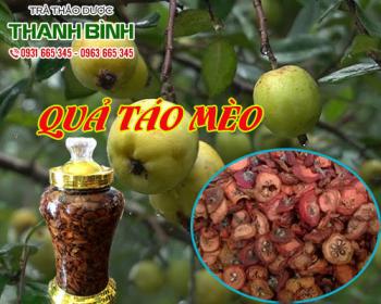 Mua bán quả táo mèo tại quận 6 phòng và ngăn ngừa cơn đau thắt ngực