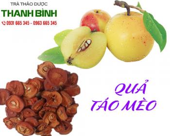 Mua bán quả táo mèo ở quận bình tân có tác dụng giúp bảo vệ tế bào gan