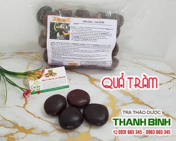 Mua bán quả tràm tại huyện thanh trì giúp điều hòa kinh nguyệt hiệu quả
