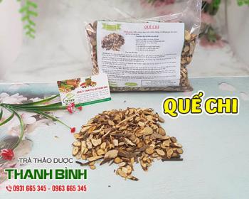 Quế chi [công dụng, cách dùng, mua ở đâu] địa chỉ mua bán giá rẻ?