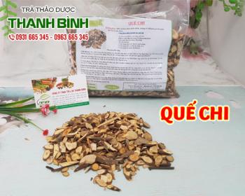Tác dụng của quế chi trong điều trị bí tiểu và bế kinh hiệu quả nhất