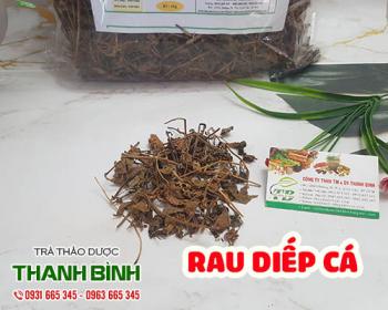 Tác dụng của rau diếp cá trong điều trị viêm đại tràng hiệu quả nhất